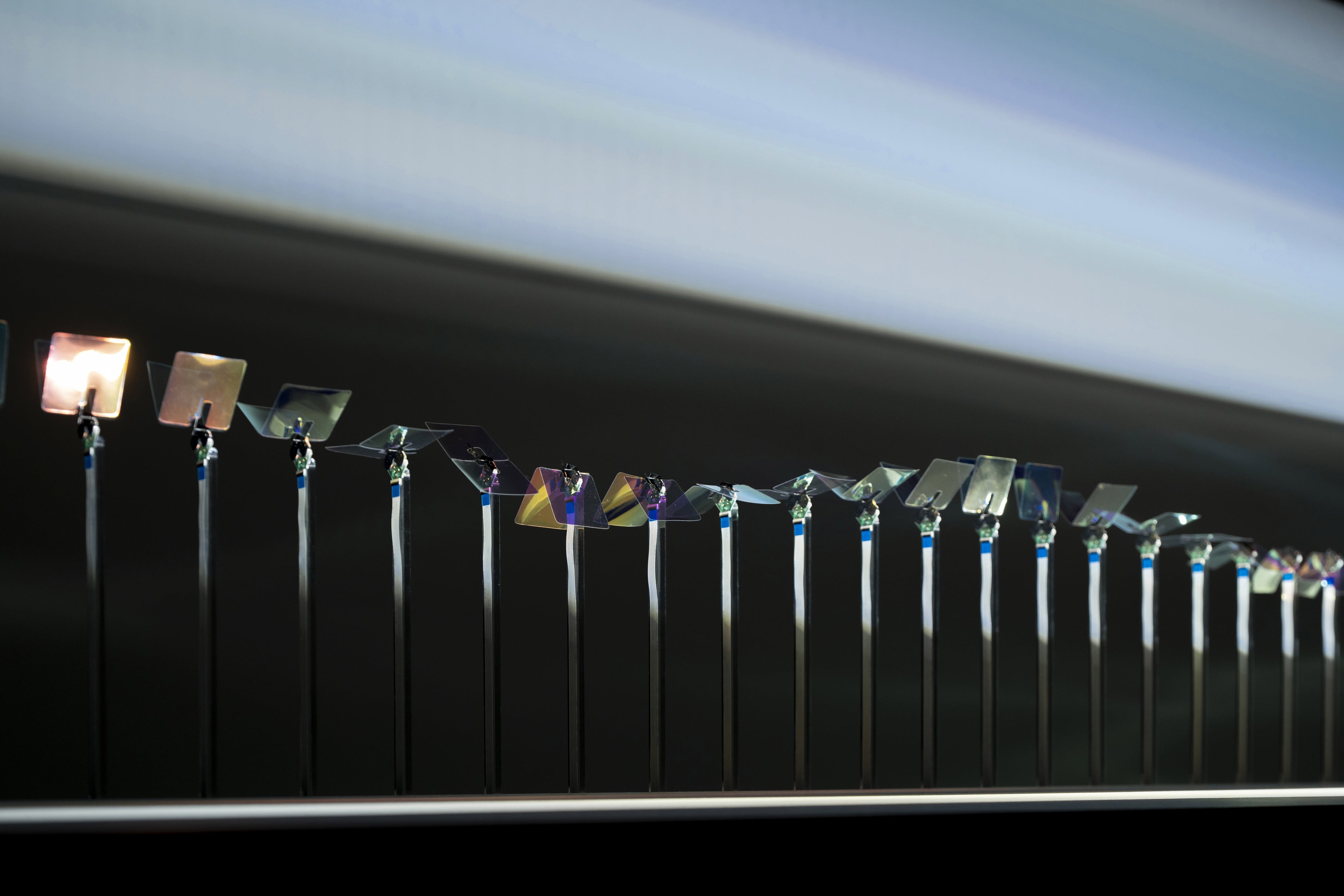 時計の捨象#02-3