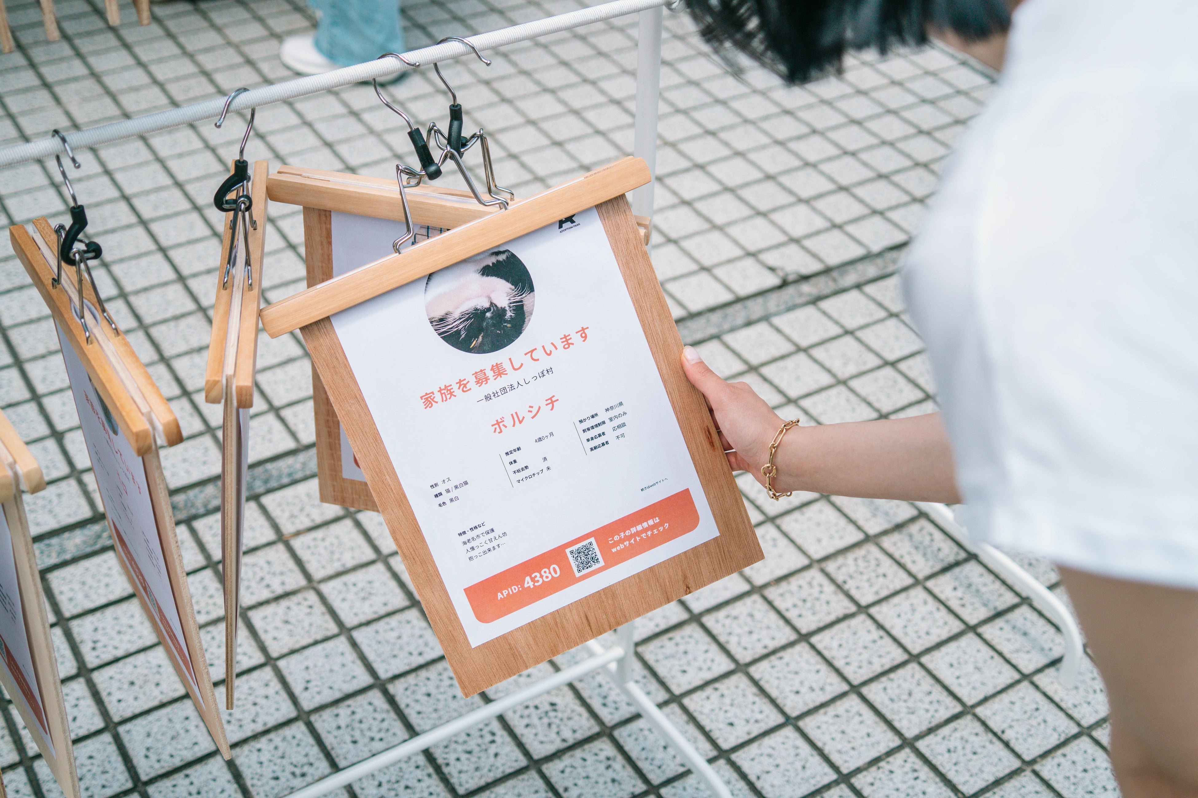 保護犬保護猫の個体別の情報が載っている