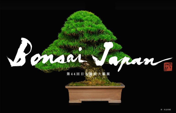 日本最大級の盆栽イベント『第44回日本盆栽大観展 BONSAI JAPAN』京都 日本最大級の盆栽イベント『第44回日本盆栽大観展 BONSAI JAPAN』京都