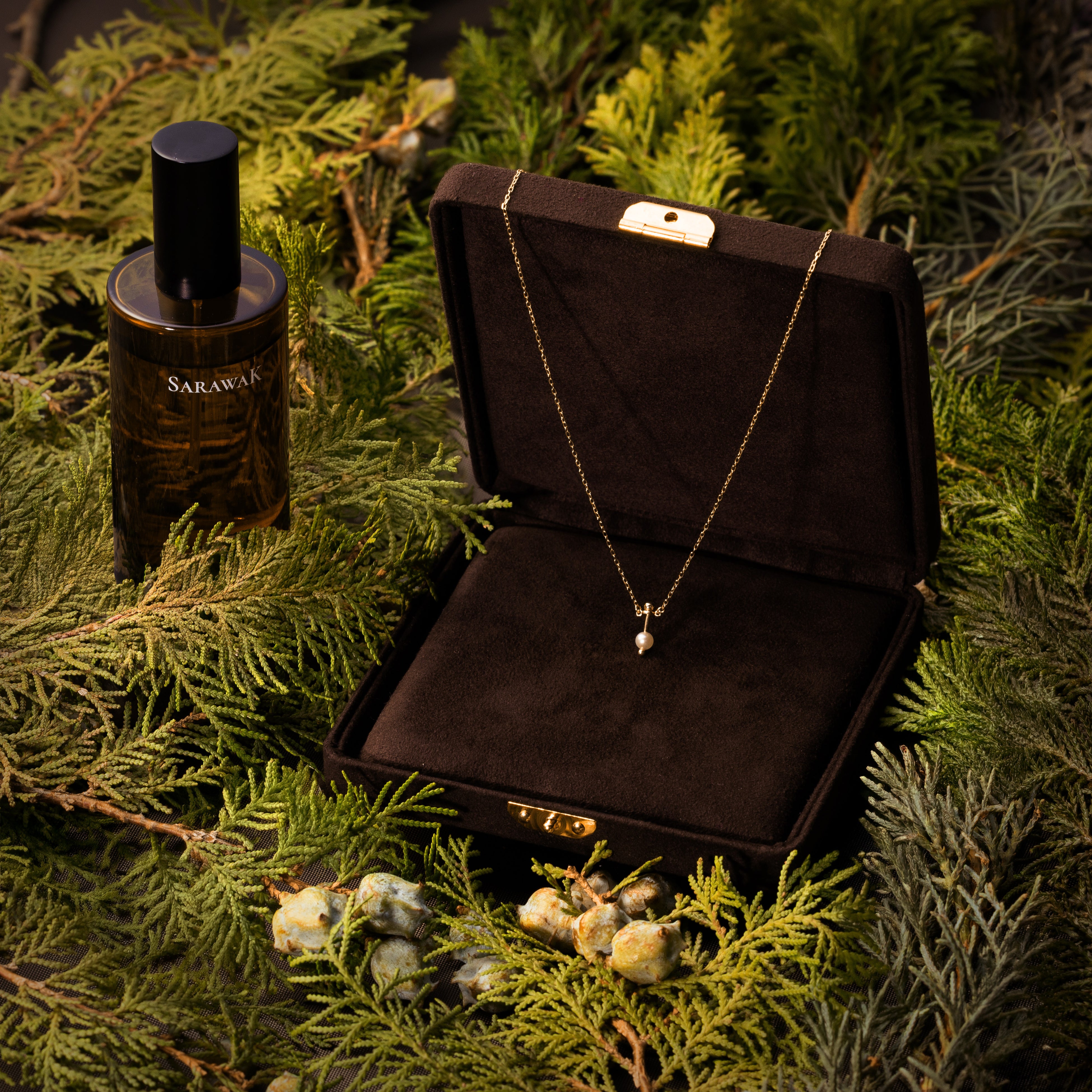 ♡新品未使用未開封♡ソヴァージュ コフレ ホリデー 数量限定 ディオール ソヴァージュ<限定パッケージ／2023ホリデー>｜キレイエ