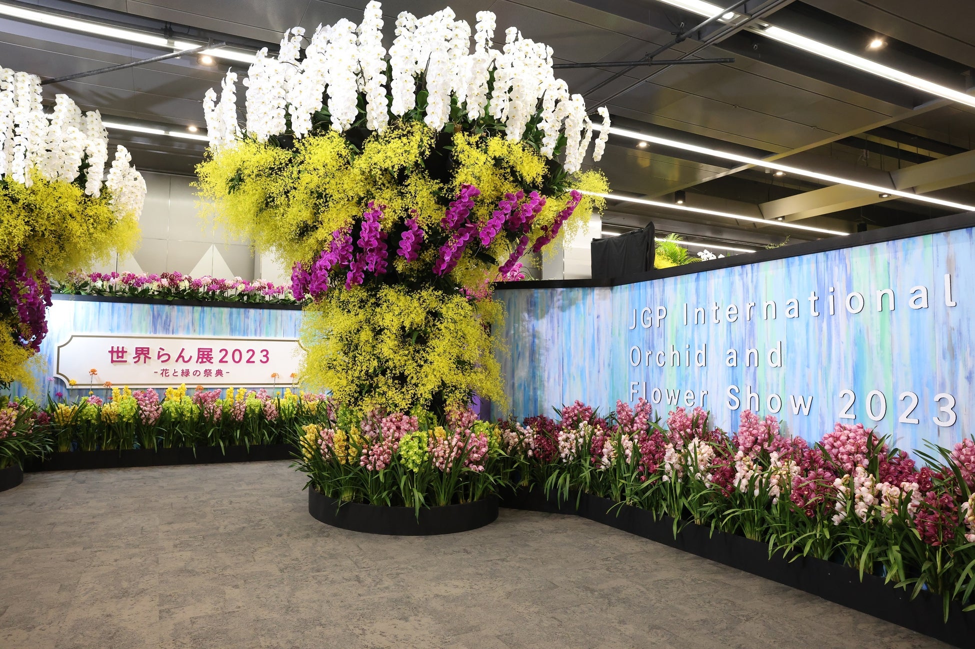 オーキッドゲート