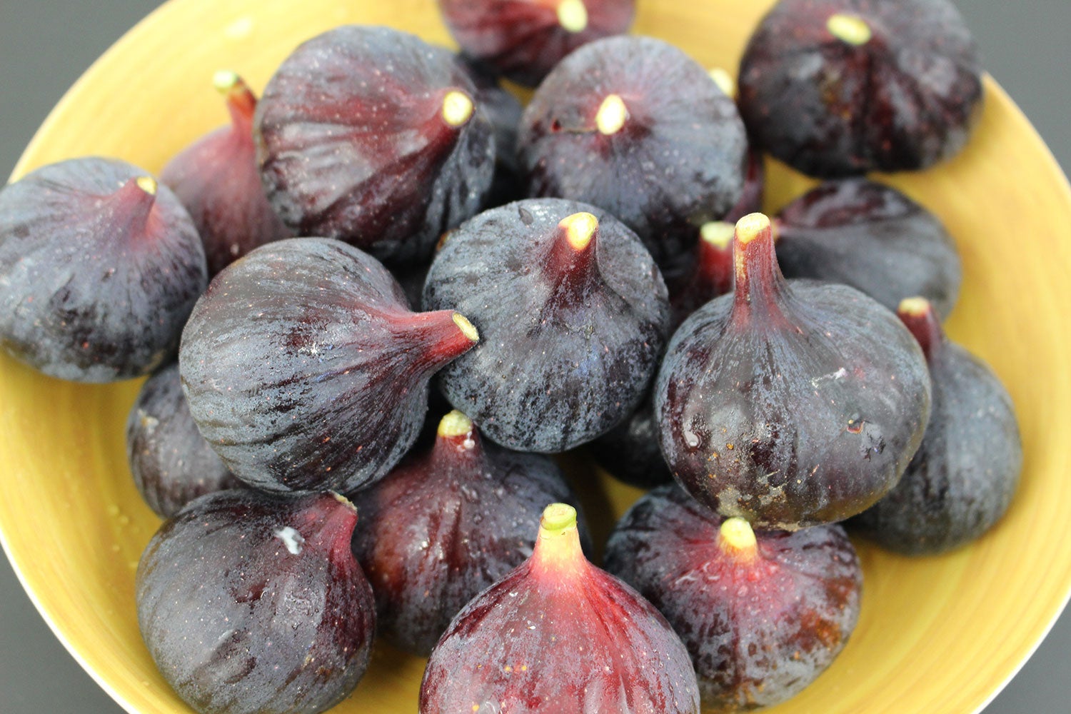 株式会社poplab 幻の黒イチジク ビオレソリエスの国産品 福岡県産 が極上の冷凍フルーツとなって全国へ販売 株式会社poplabのプレスリリース 株式会社poplab 幻の黒イチジク ビオレソリエスの国産品 福岡県産 が極上の冷凍フルーツとなって全国へ販売 株式会社poplabのプレスリリース