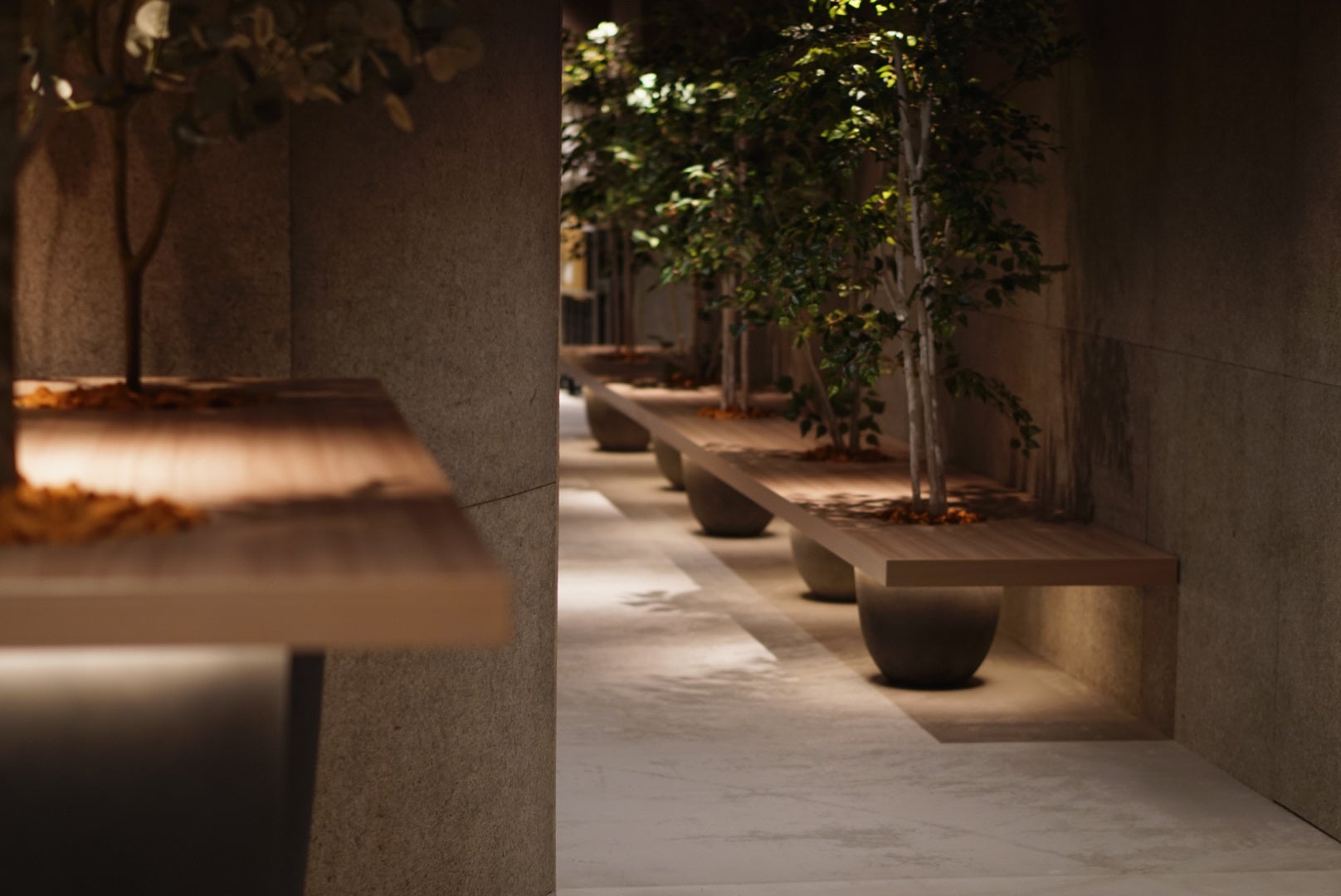 緑と木々に囲まれた店内