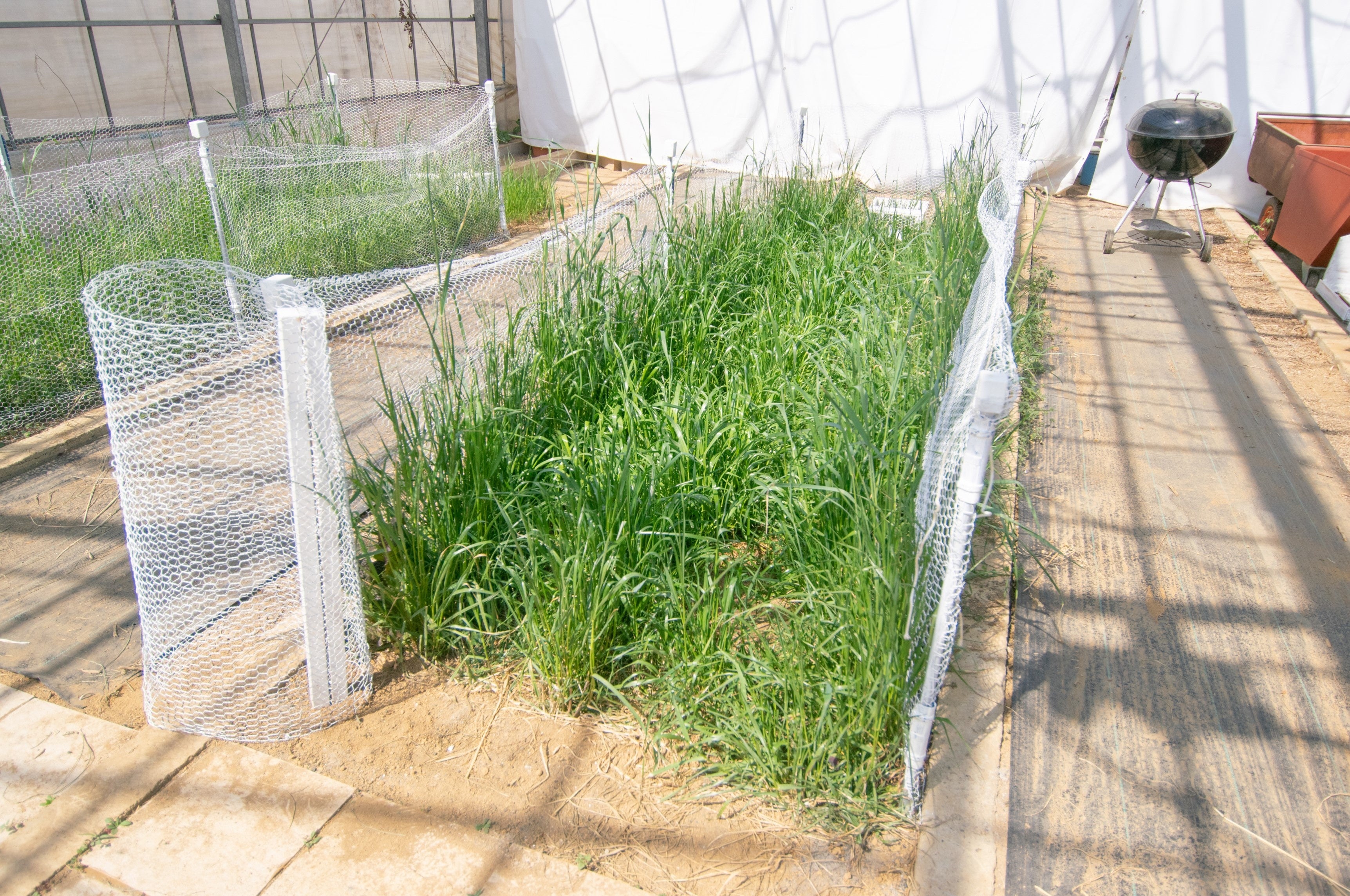 ゲートは開け閉めしやすいです