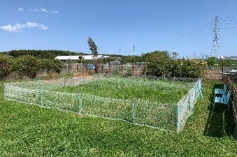 屋外エリアは2つに分かれています