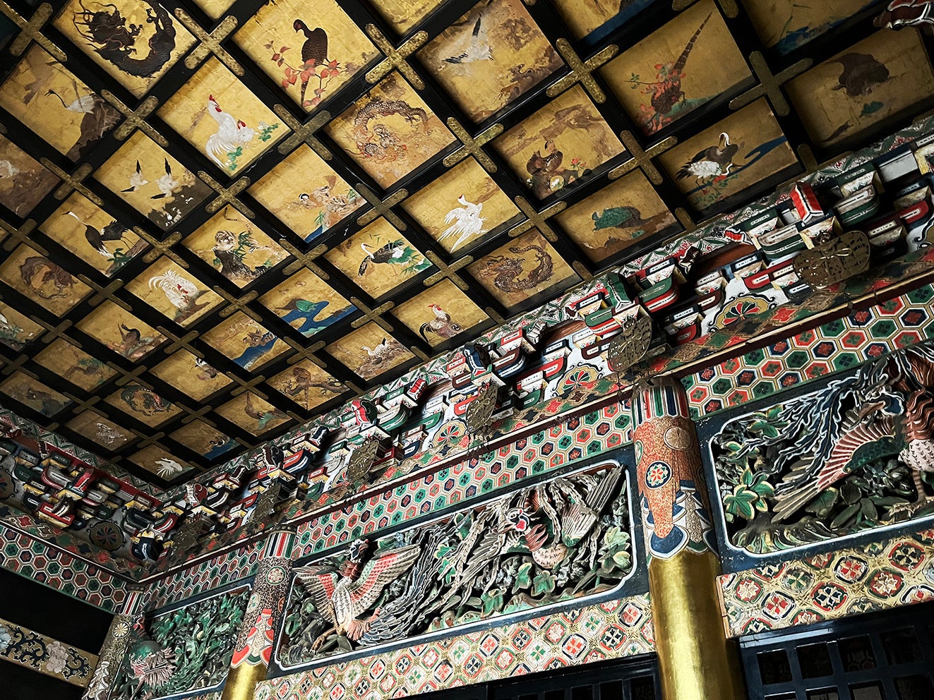 格天井／狩野探幽 筆