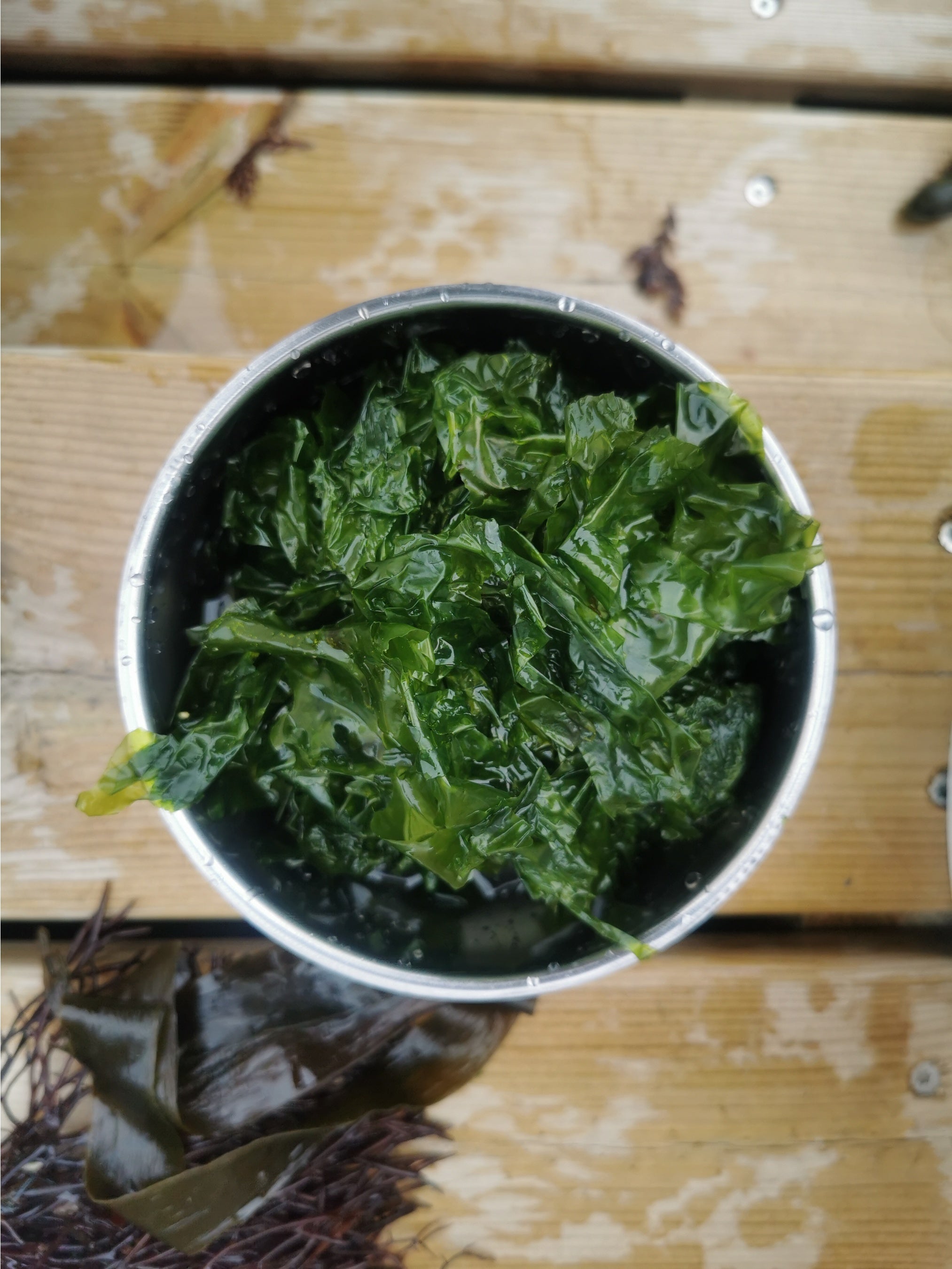 MICUL MICUL © Maya Minder