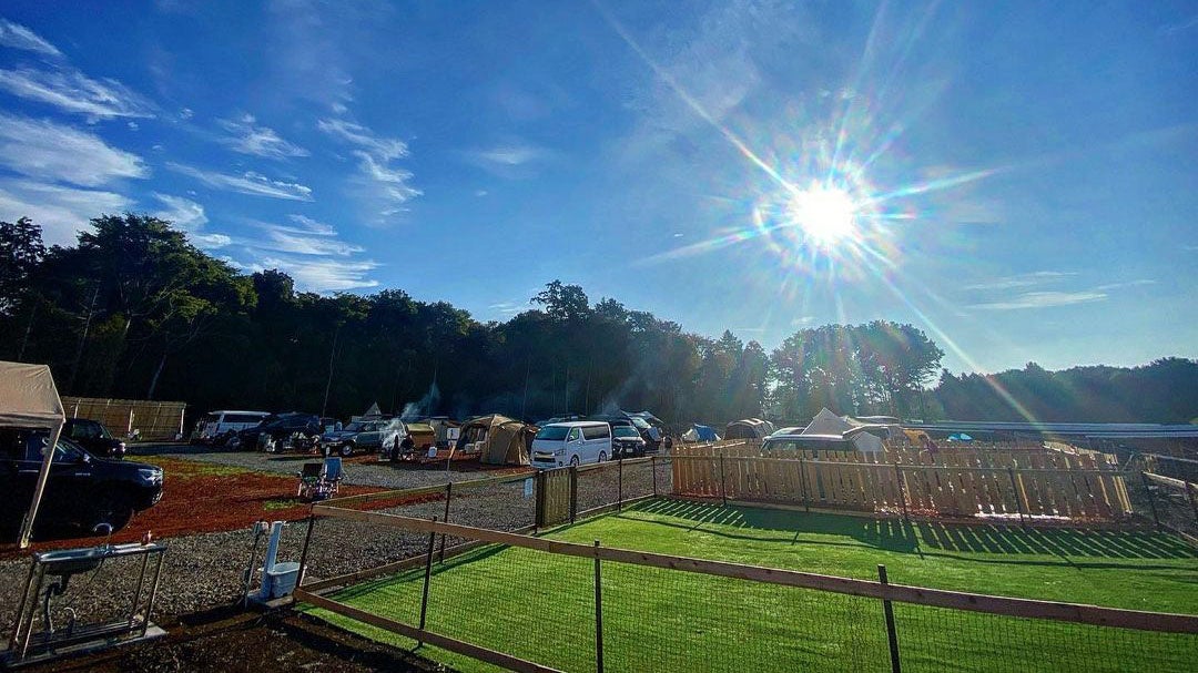 連日たくさんのお客様で賑わっています