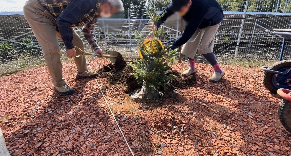 キャンプ場内の植樹