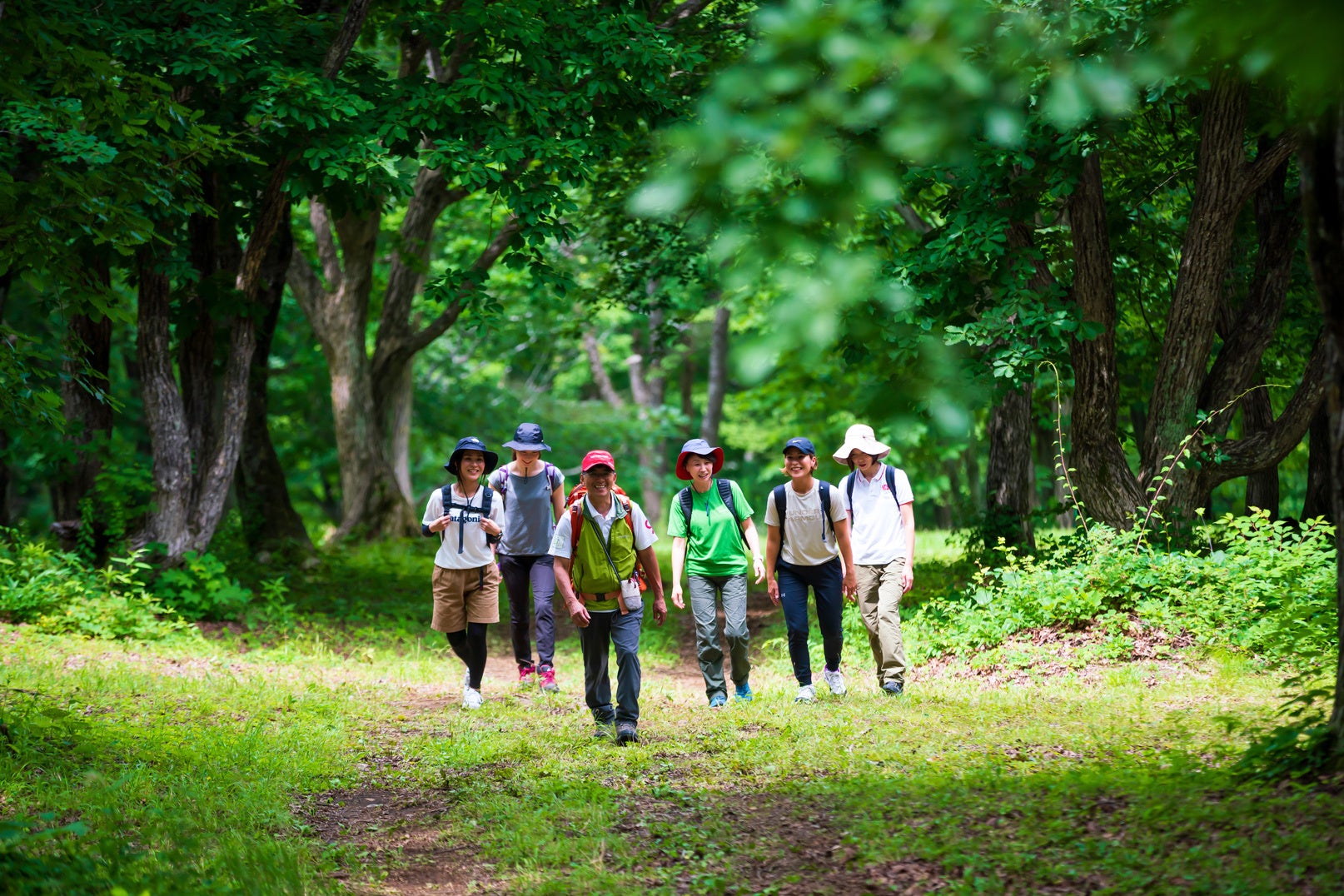 上山市クアオルト推進室提供