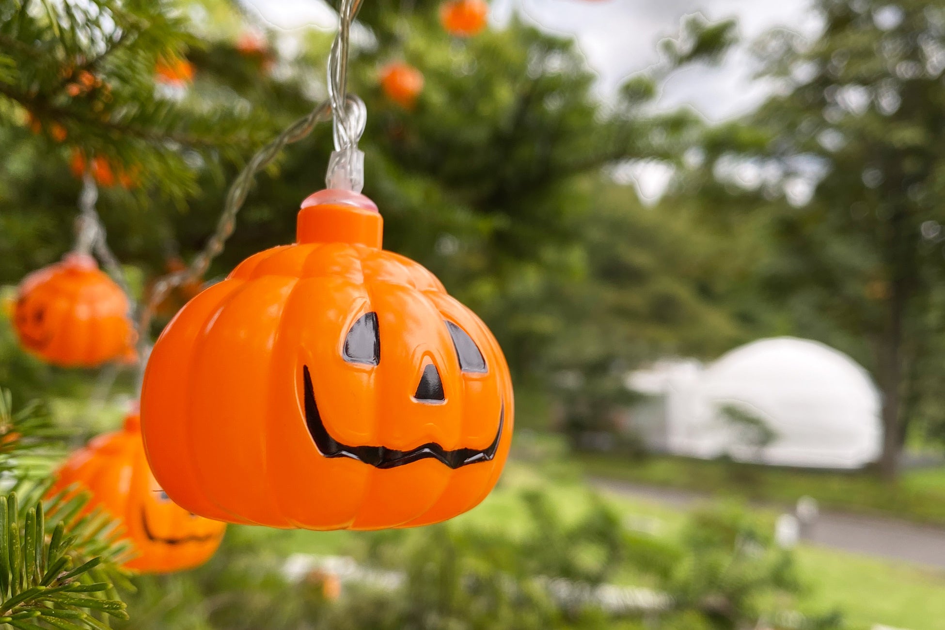 ハロウィンイベント