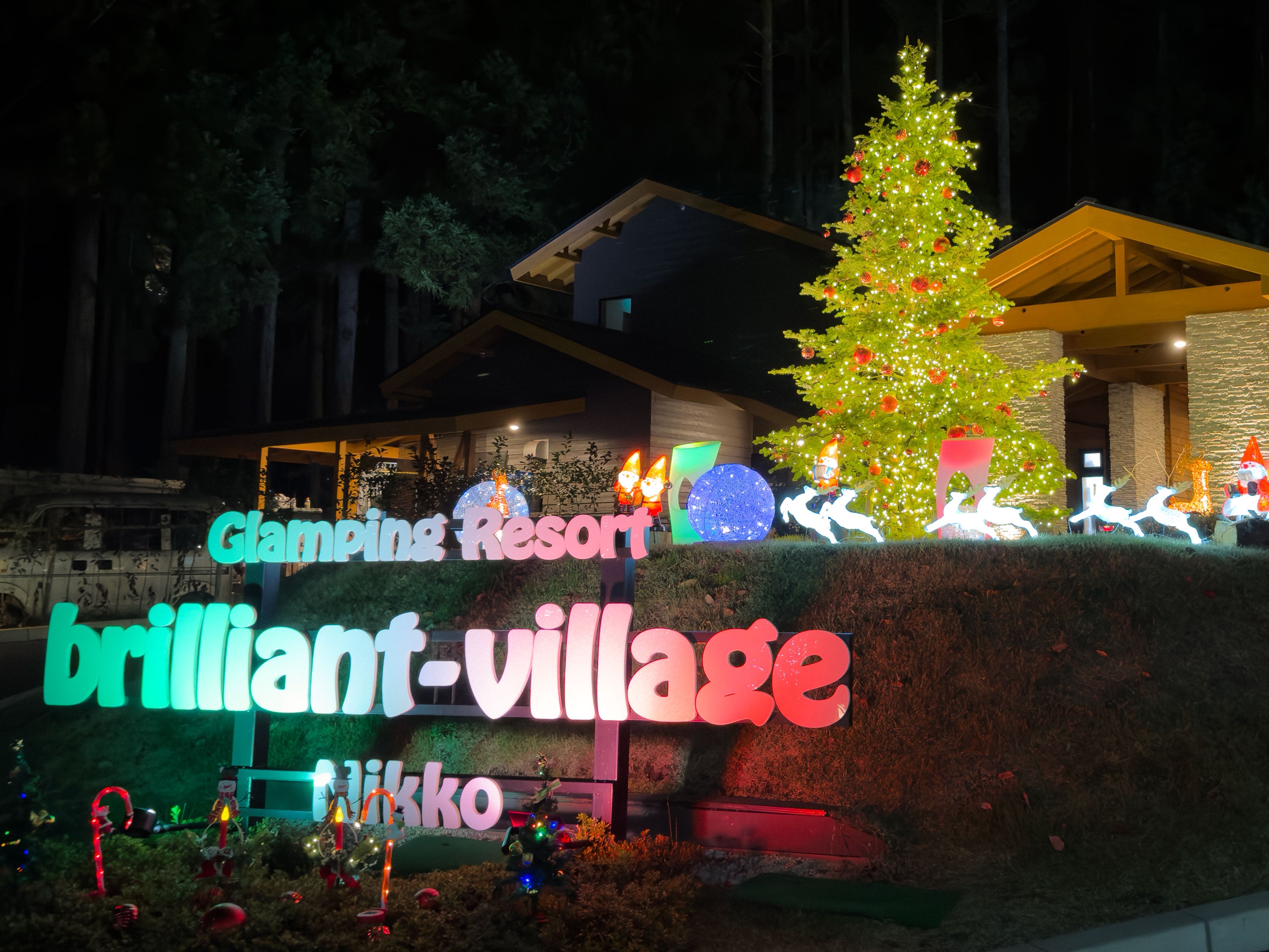 クリスマスツリー