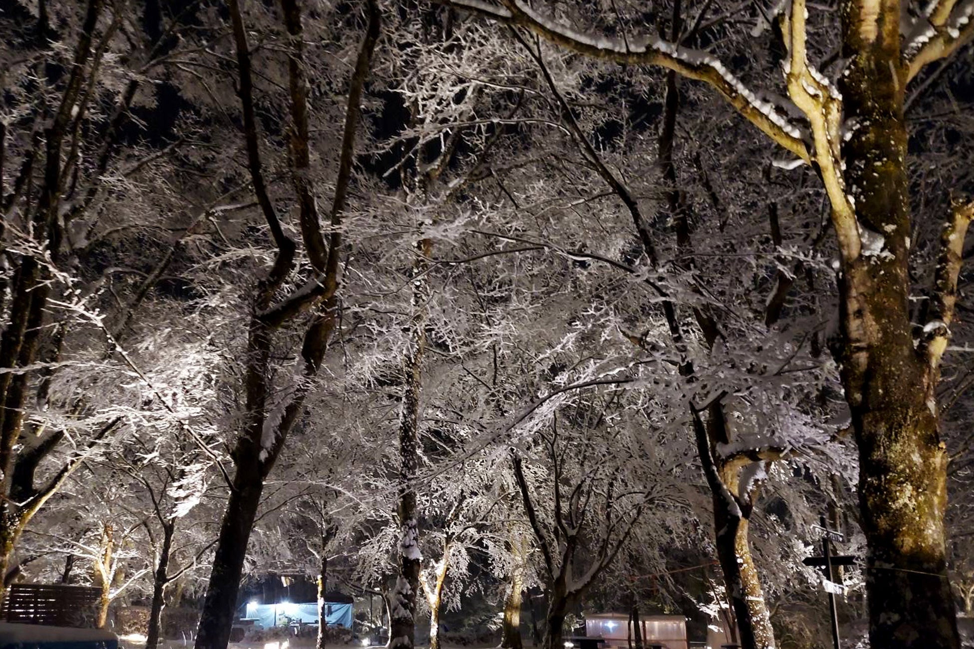 【Winter】雪のグランピング2023～雪化粧～