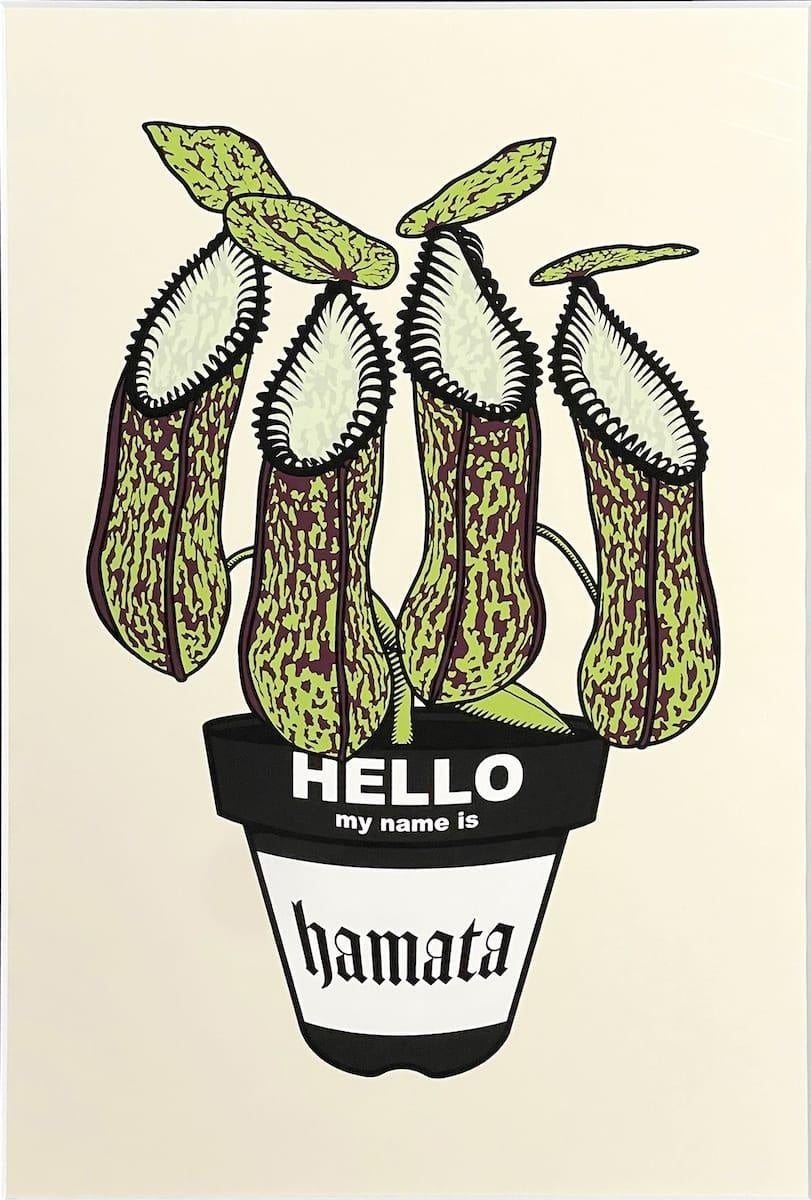 12月2日より、大人気のアガベやコーデックスの展示販売イベント