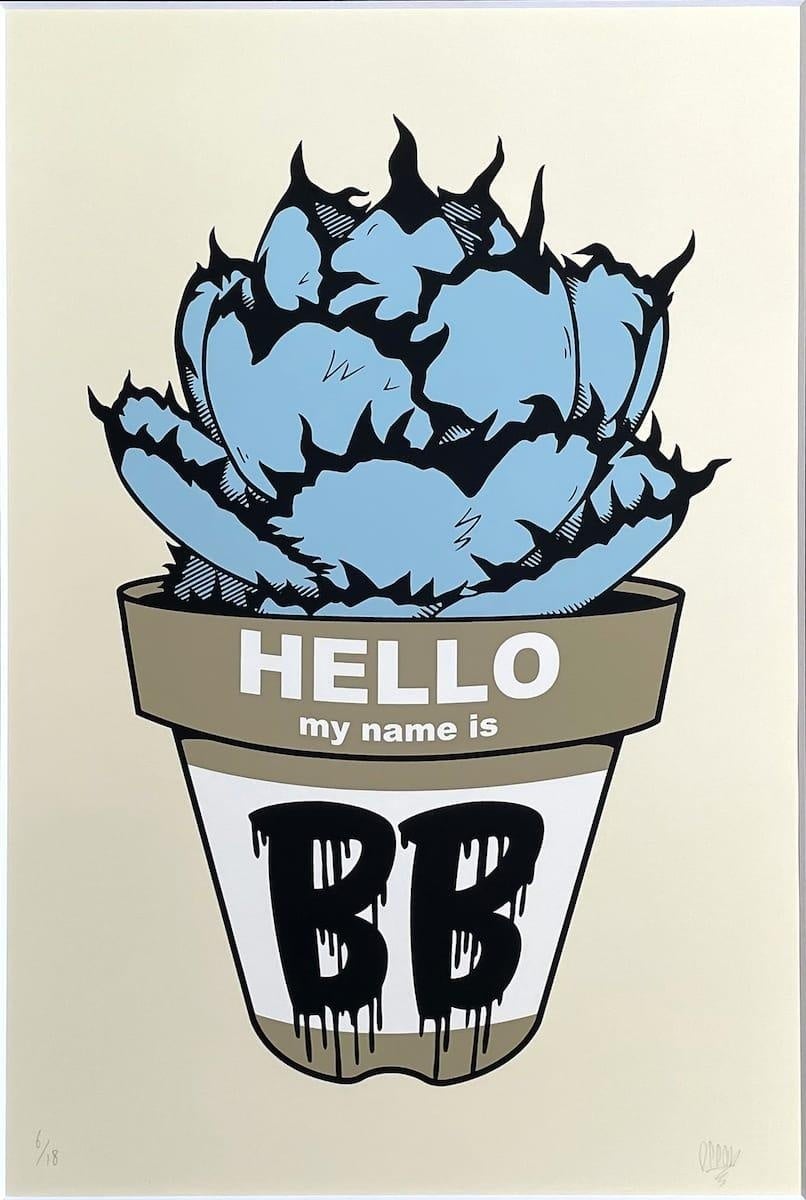 12月2日より、大人気のアガベやコーデックスの展示販売イベント