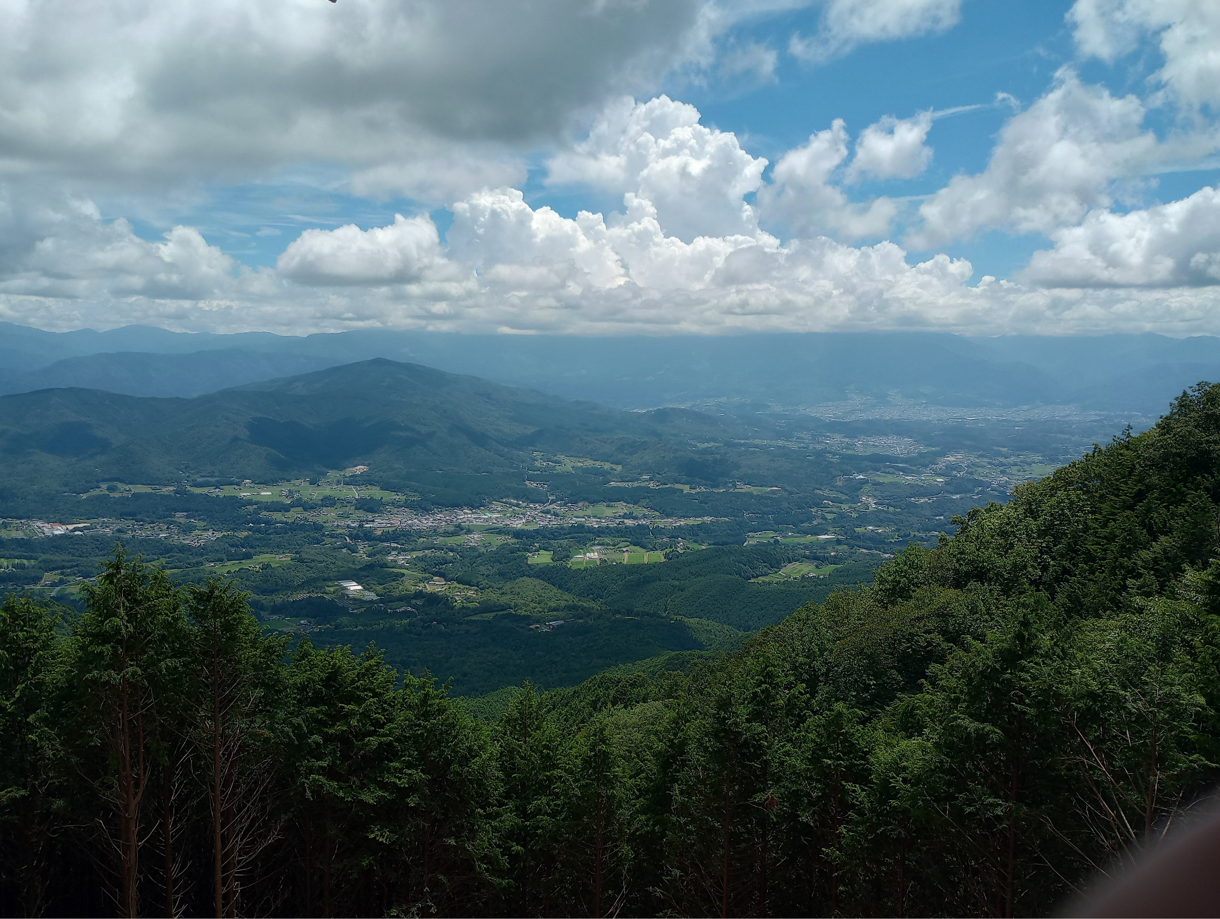 展望台からの風景