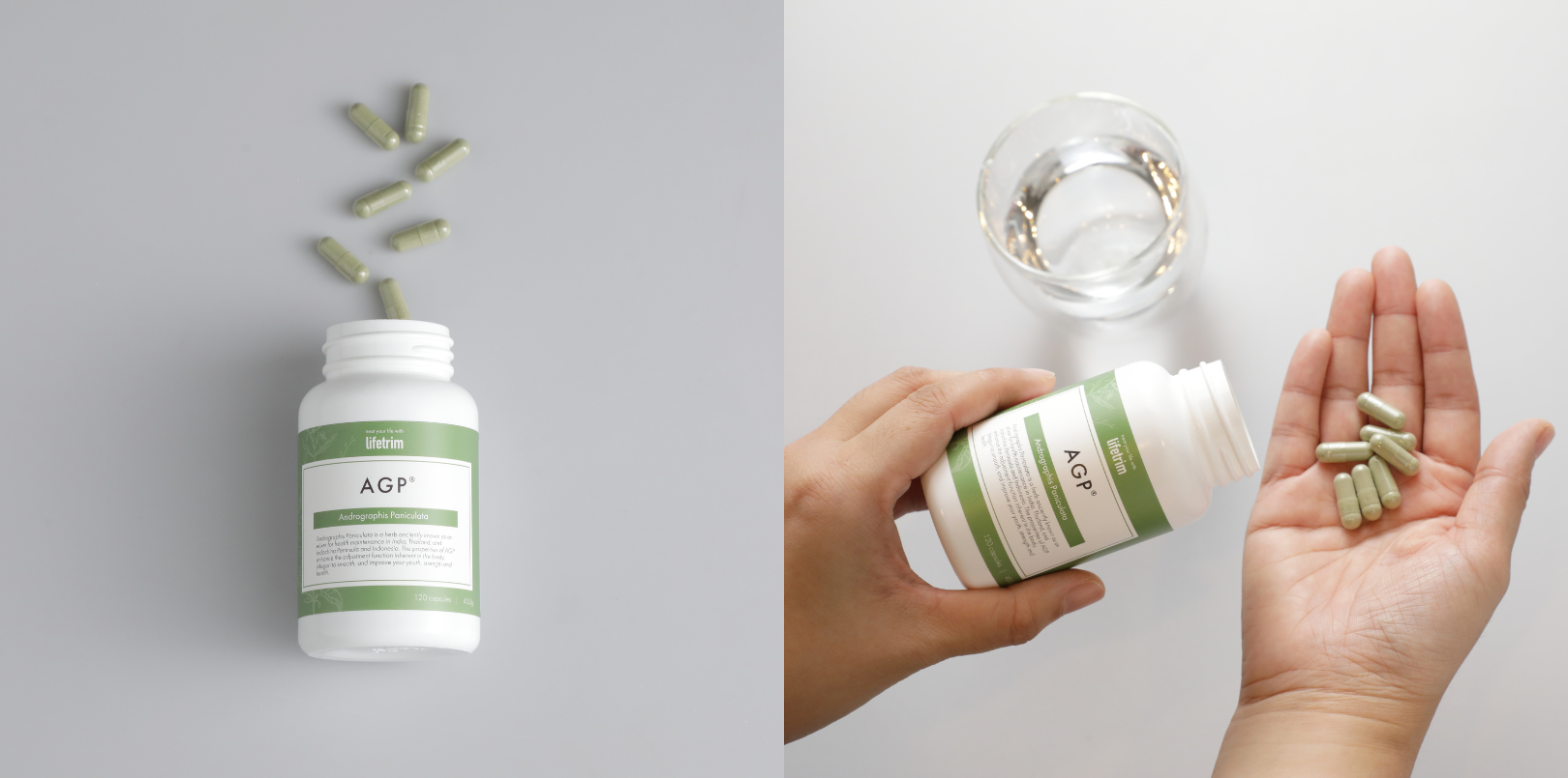 アラン・マーラット ドノバン『リラプス・プリベンション : 依存症の