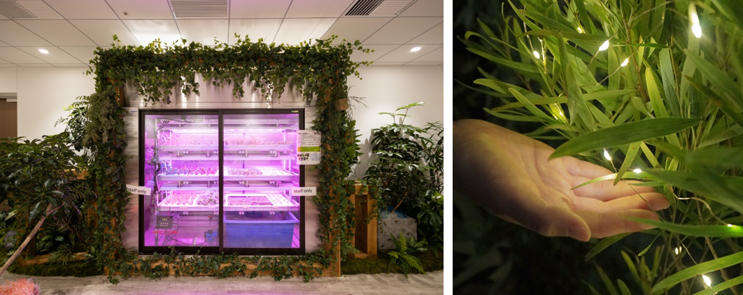 左：栽培装置の周辺は、緑豊かな樹木や草木、間伐材を再利用したプランターや石のプランターで自然を感じられる空間を演出　右：植栽の一部には、植物が生命活動する際の放出エネルギーを回収して電力として利用したクリーンなライト「ボタニカルライト」を採用