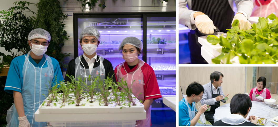 左：LED菜園で野菜を育てているベル・ソレイユの従業員　右上・右下：初めての収穫では、当社の代表取締役 社長執行役員CEO野田も参加