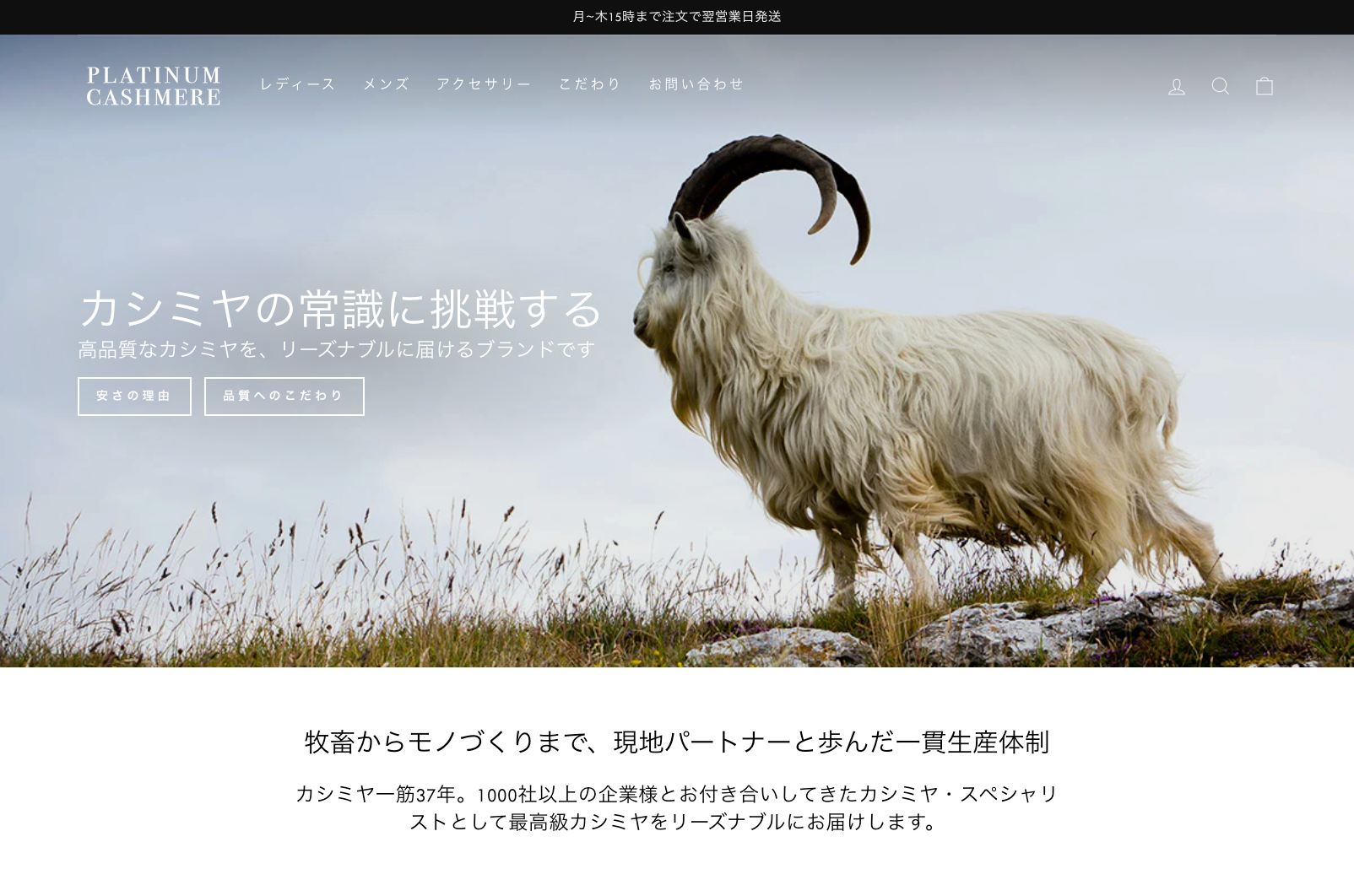 Webサイト_ファーストビュー