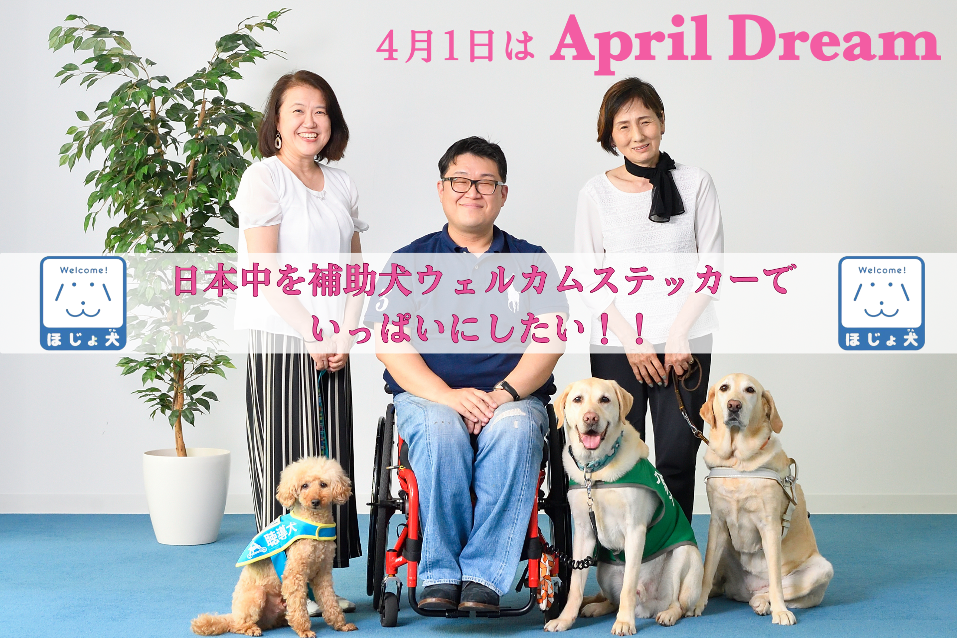 日本介助犬ステッカー 補助犬同伴可ステッカー