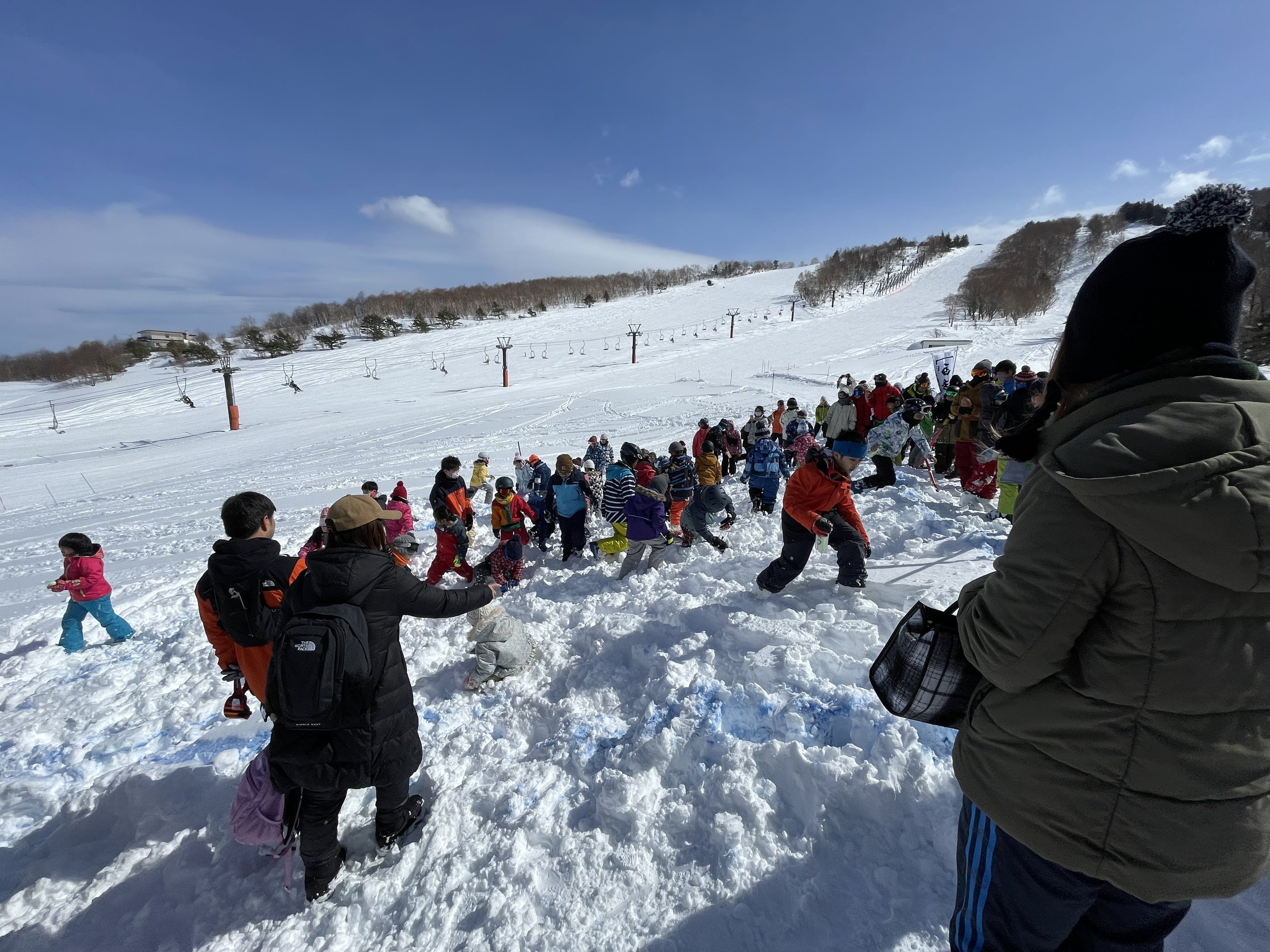 雪中宝探しの様子