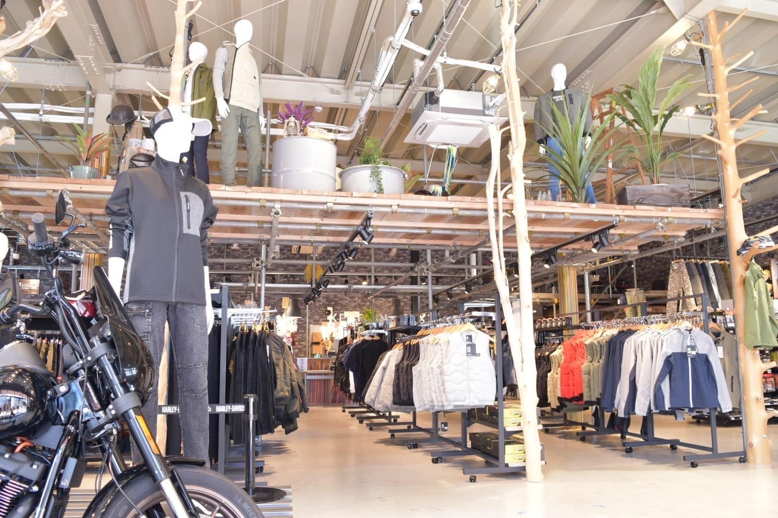 仮設足場や、自然木4本の柱が明るい雰囲気を醸し出す店内