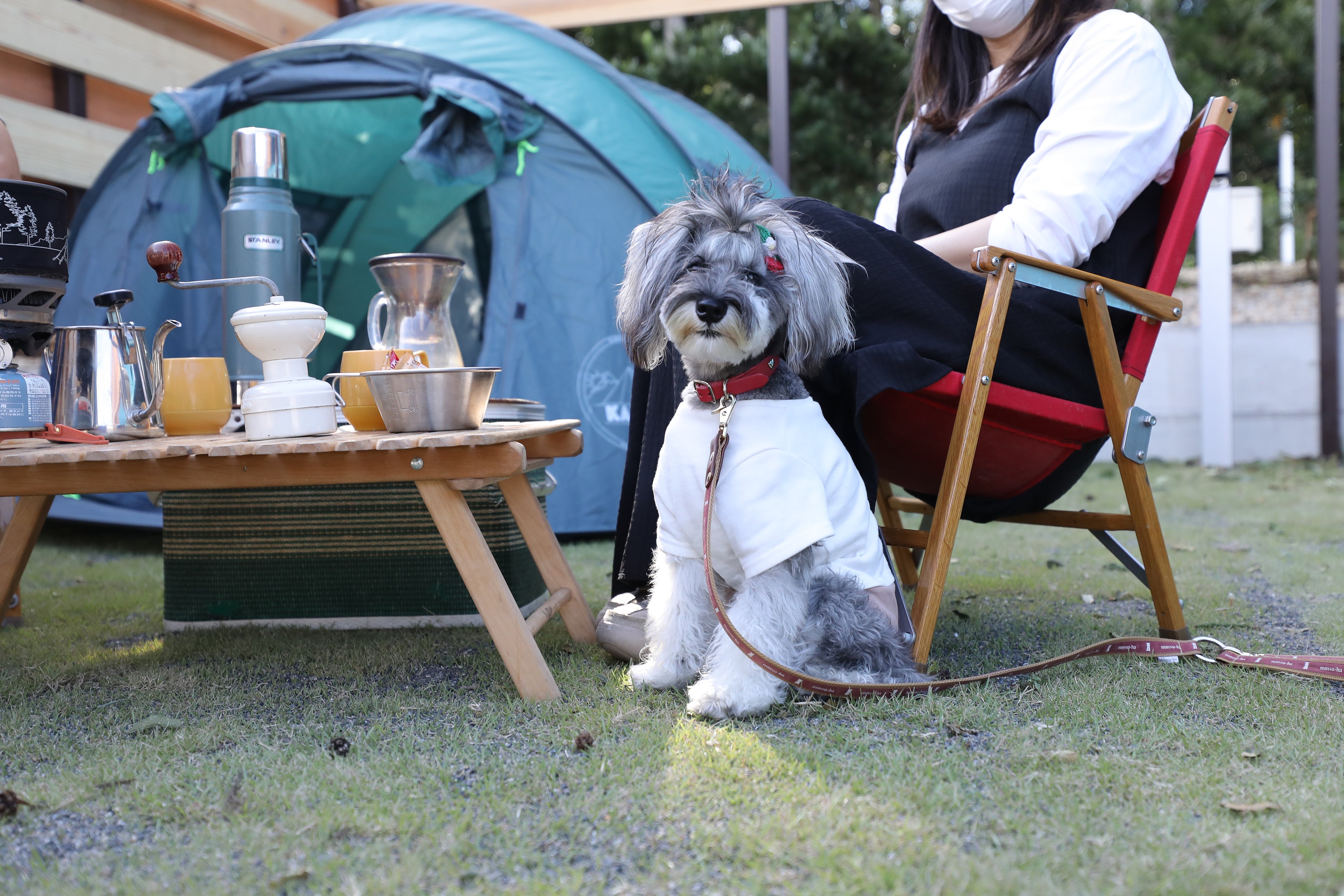 RVパーク内では、BBQもシアターもお楽しみいただけて、全区画、ペットとのご利用が可能になっております。※一部区画はリード無しでご利用可能となります