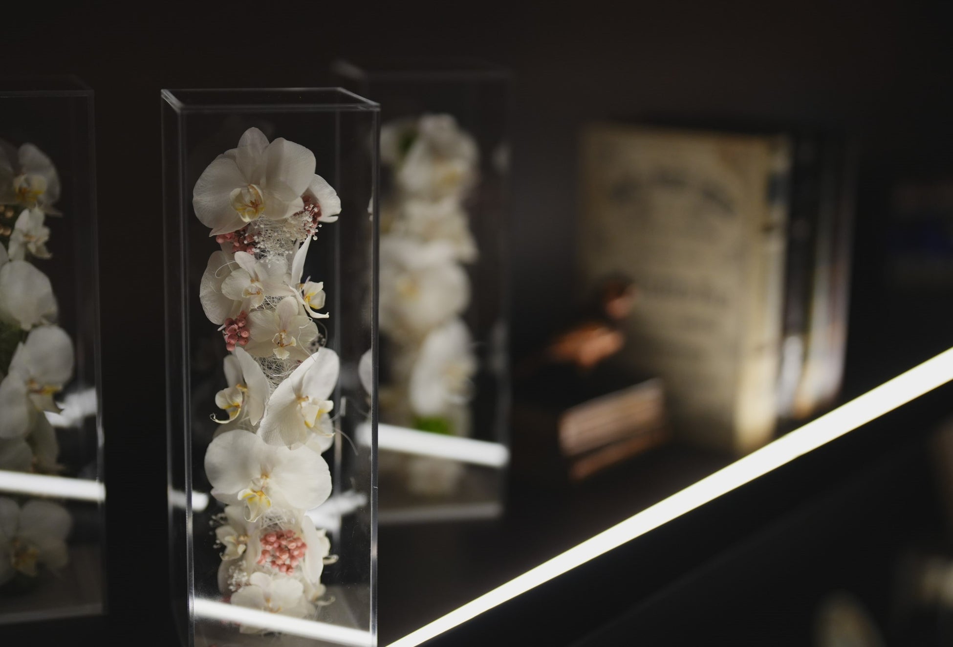 grandioso-グランディオーソ-M(ピンク)