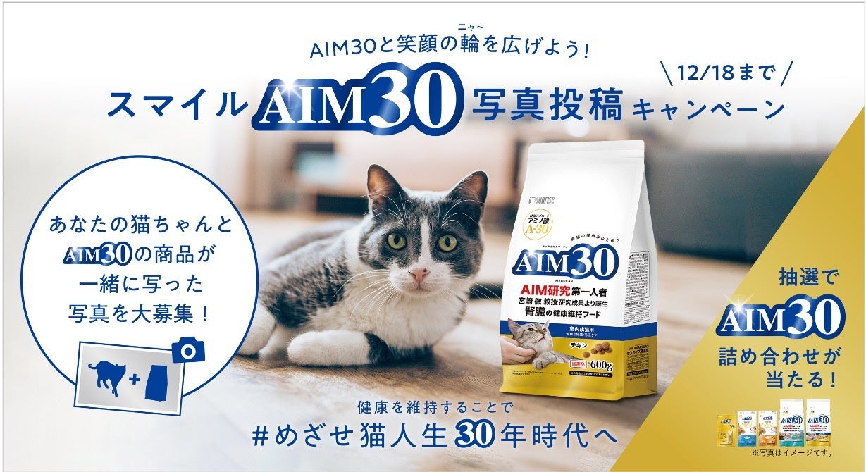 猫ちゃんさん専用商品 109449-3-
