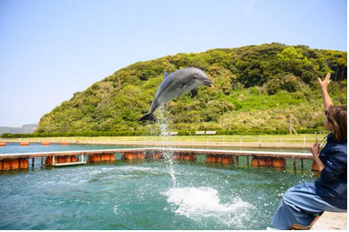 壱岐イルカパーク＆リゾート