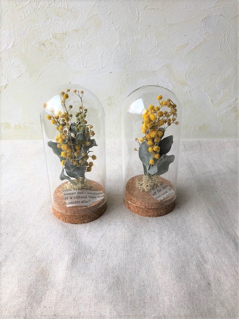 ガラスドームミモザ￥2,000