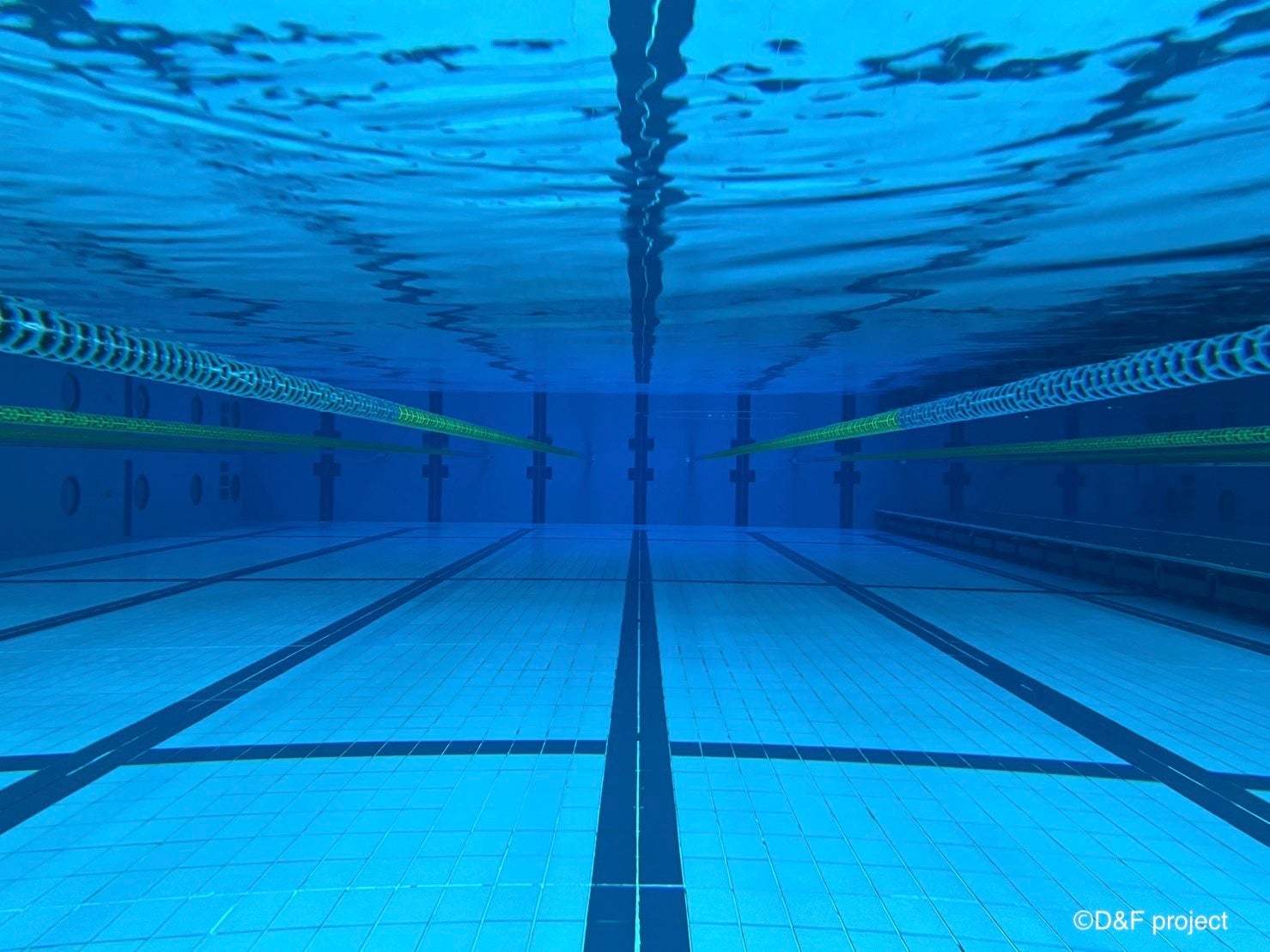 丸善インテック大阪プール(25mプール)水中