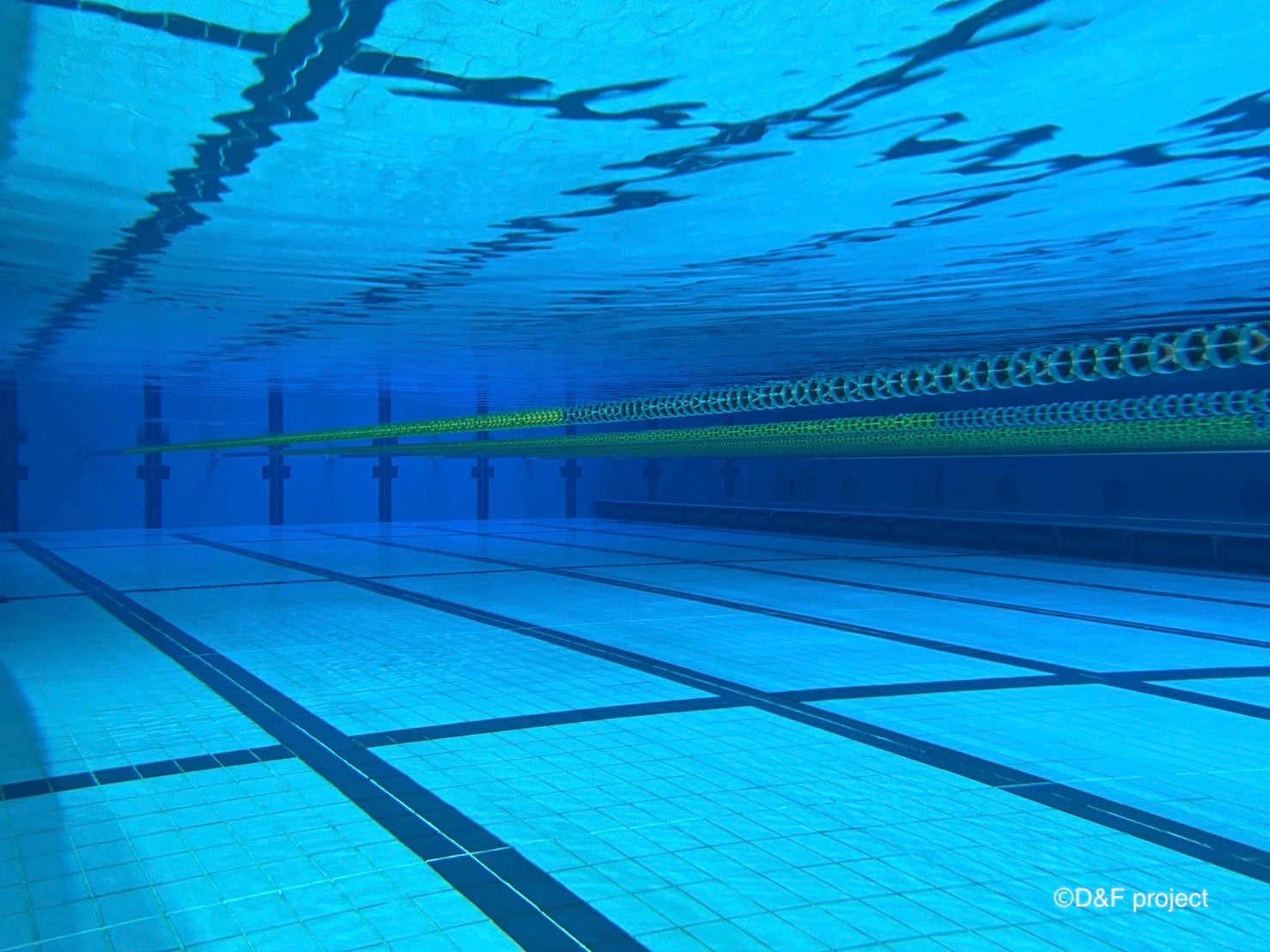 丸善インテック大阪プール(25mプール)水中