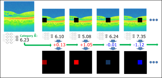 正負の寄与部分の確信度を表示させた画像。
