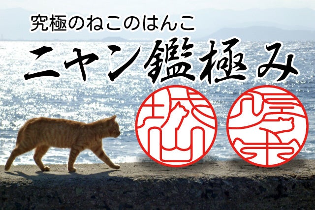 のぞき見ニャン鑑 印鑑 はんこ 猫 オーダー 可愛い 本柘植 16.5ミリ 認印 銀行印