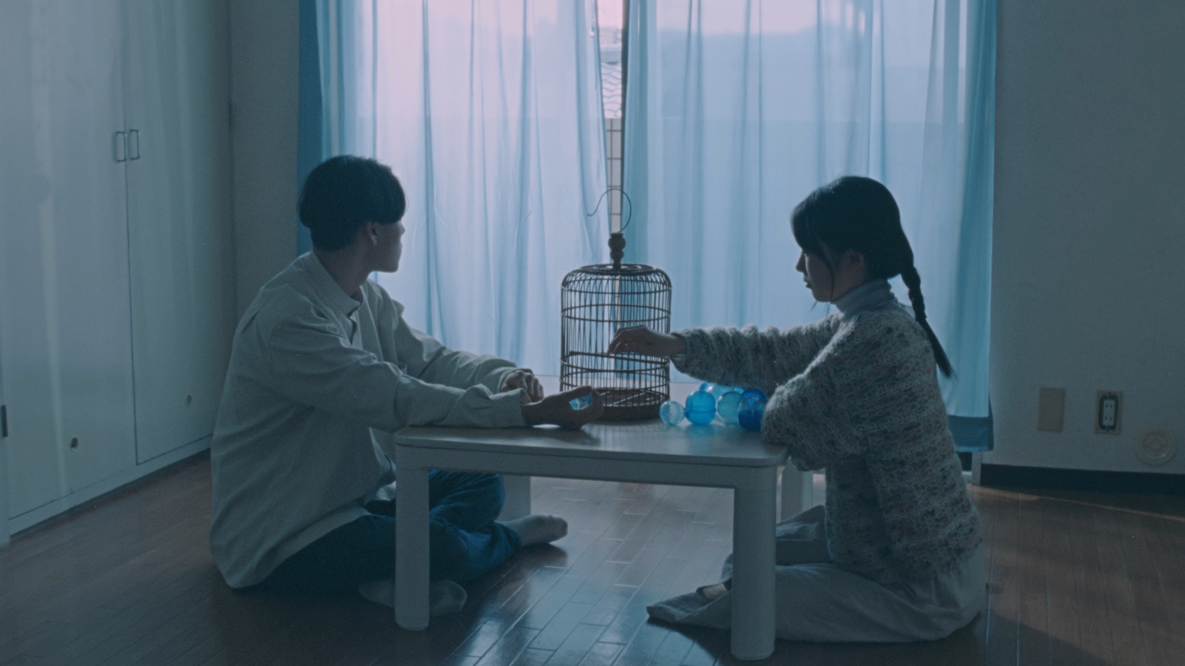 『夢見るペトロ』 田中 さくら 監督