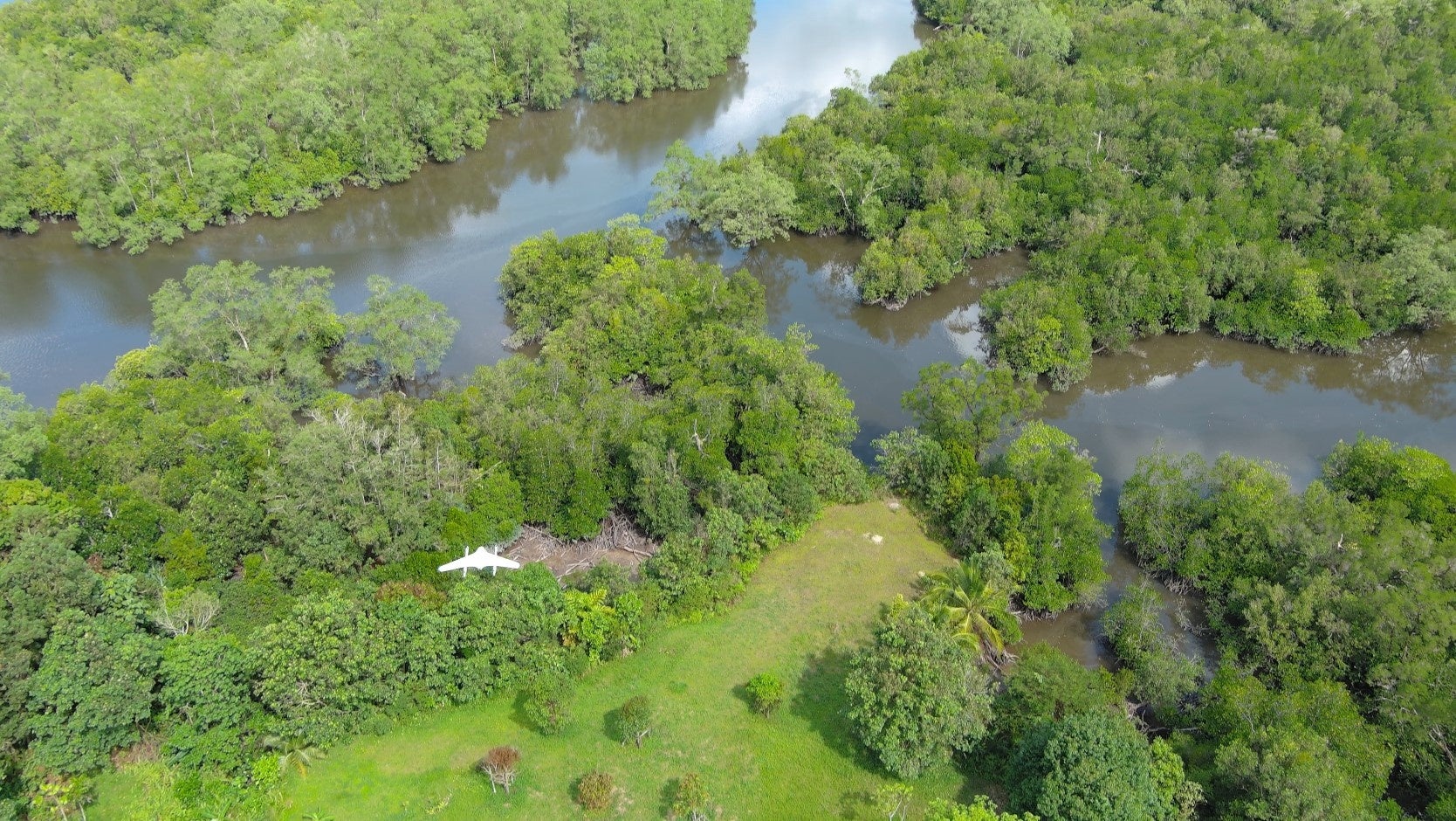 マレーシア　サラワク州、クチン・ウェットランド国立公園のマングローブ林上空を飛行するエアロボウイング