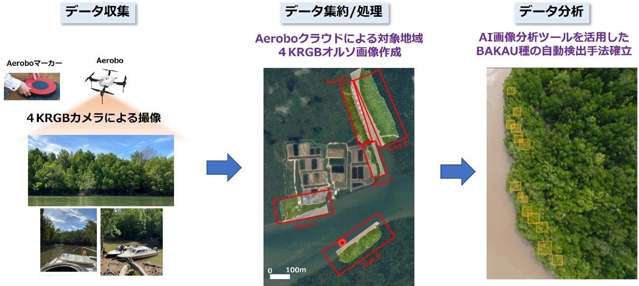 APT「国際共同研究プログラム2021」の成果