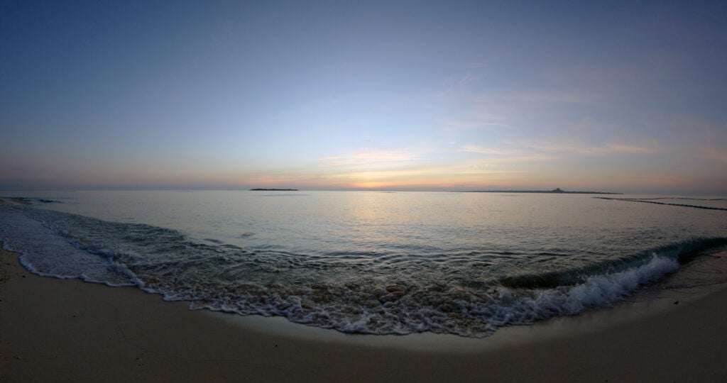 最高品質の16bitリニアRAW収録、ダイナミックレンジ17ストップ