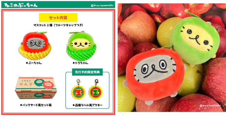 109876-17- 109876-17-