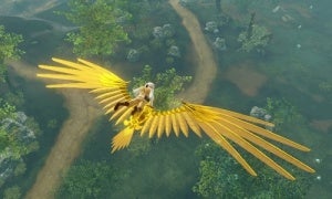 ▲ゴールデンサングライダー