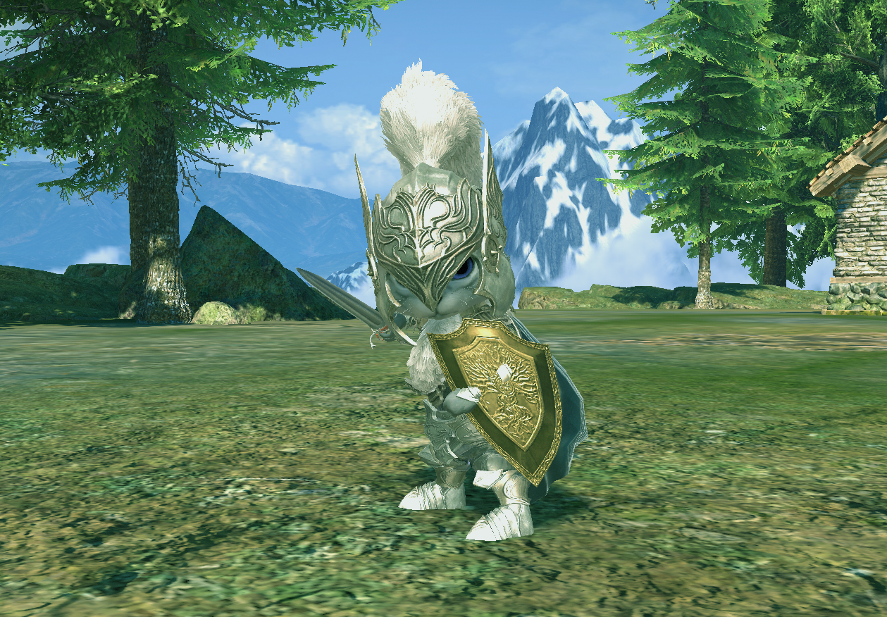 新クラス「パラディン」