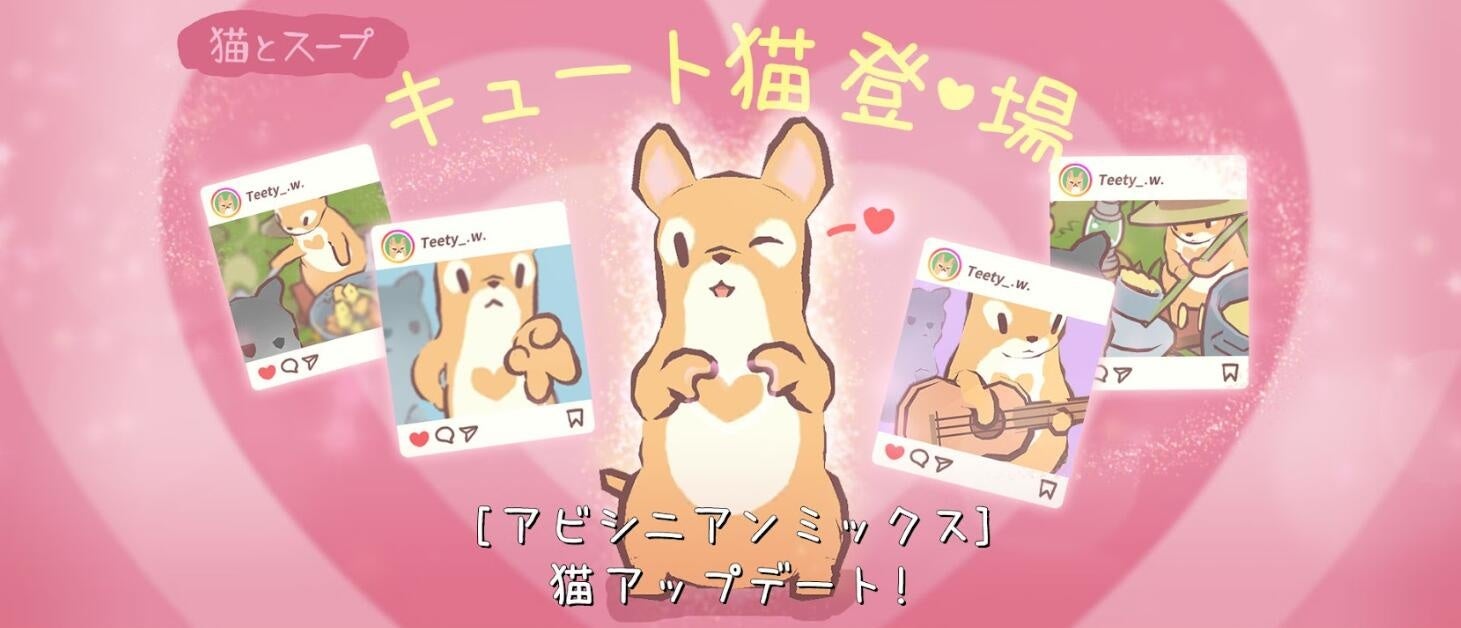 「新規猫「アビシニアンミックス」追加」