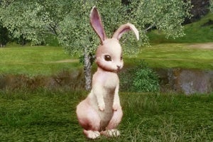 ▲騎乗ペット「ブラウンワンダーラビット」