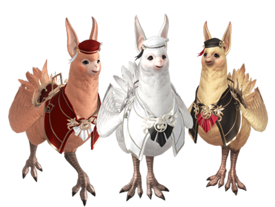 名誉の学士服チャンクリ