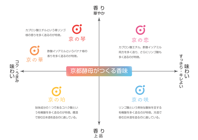 京都酵母香味マップ