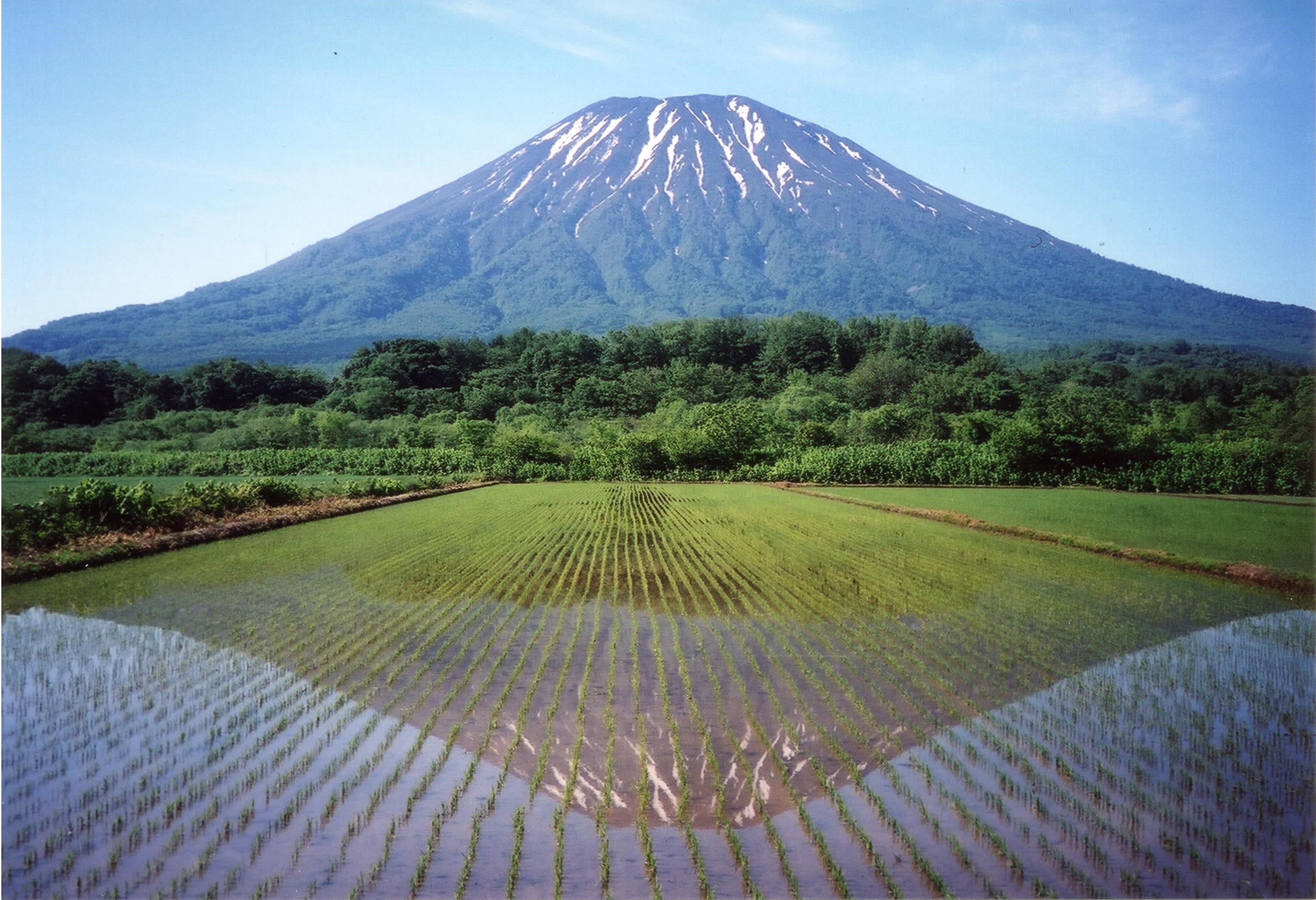 倶知安町風景１