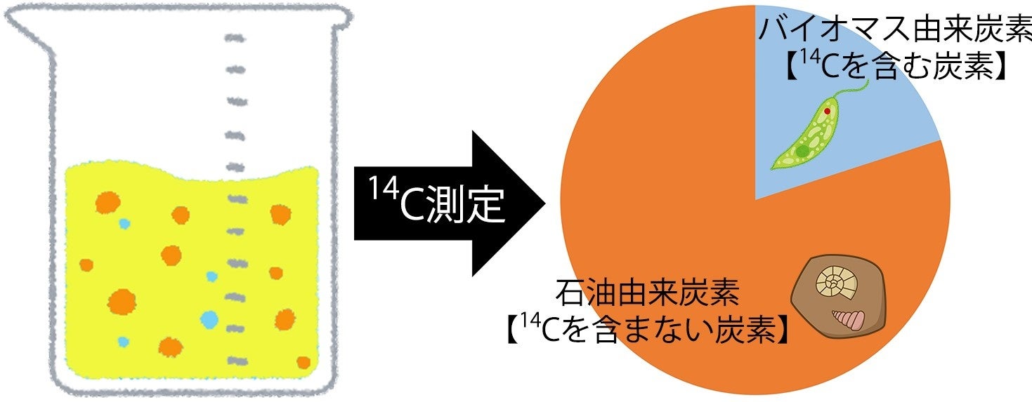 バイオベース度の測定