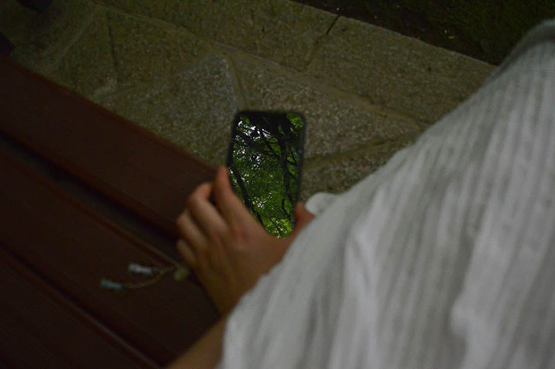 「緑をポケットに入れましょう」  デザイン学部イラストコース 2年　コ アヤカ